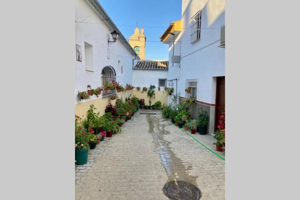 Вилла Casa Tipica De Pueblo Andaluz Villanueva de San Juan Экстерьер фото