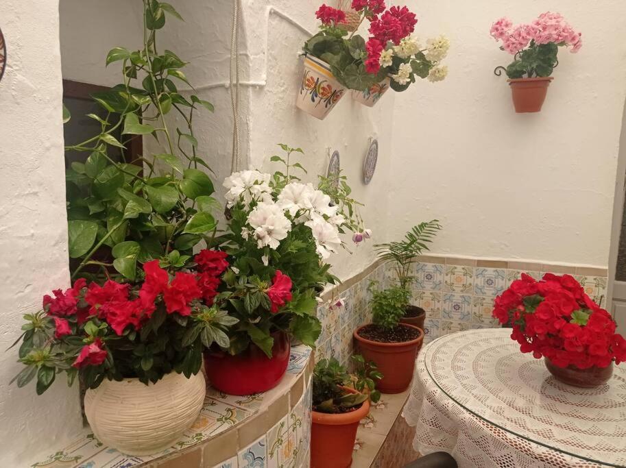 Вилла Casa Tipica De Pueblo Andaluz Villanueva de San Juan Экстерьер фото
